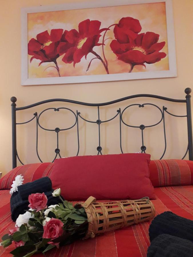 La Chicca Apartment Pisa Ngoại thất bức ảnh